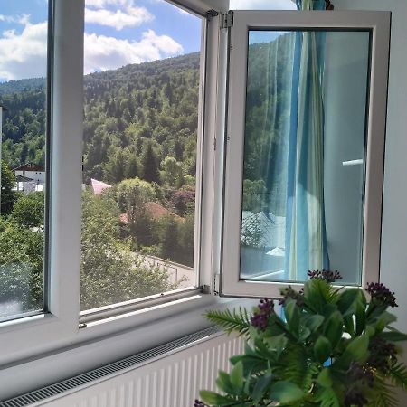 Apartment Valea Azugii 아주가 외부 사진