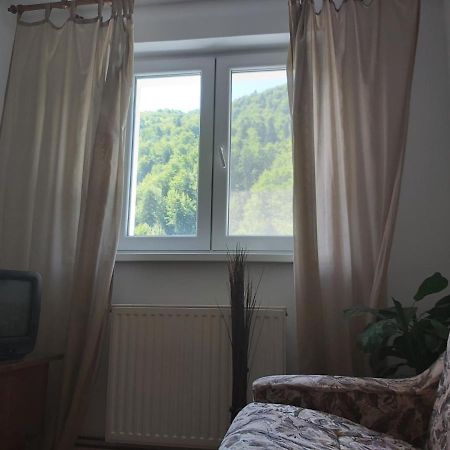 Apartment Valea Azugii 아주가 외부 사진