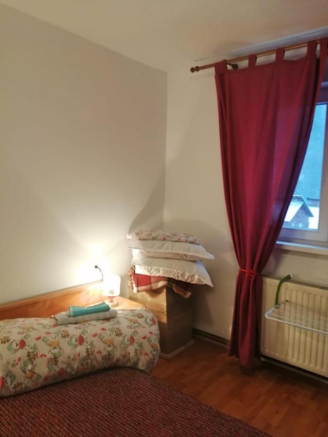 Apartment Valea Azugii 아주가 외부 사진