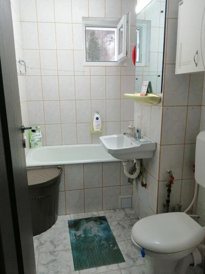 Apartment Valea Azugii 아주가 외부 사진