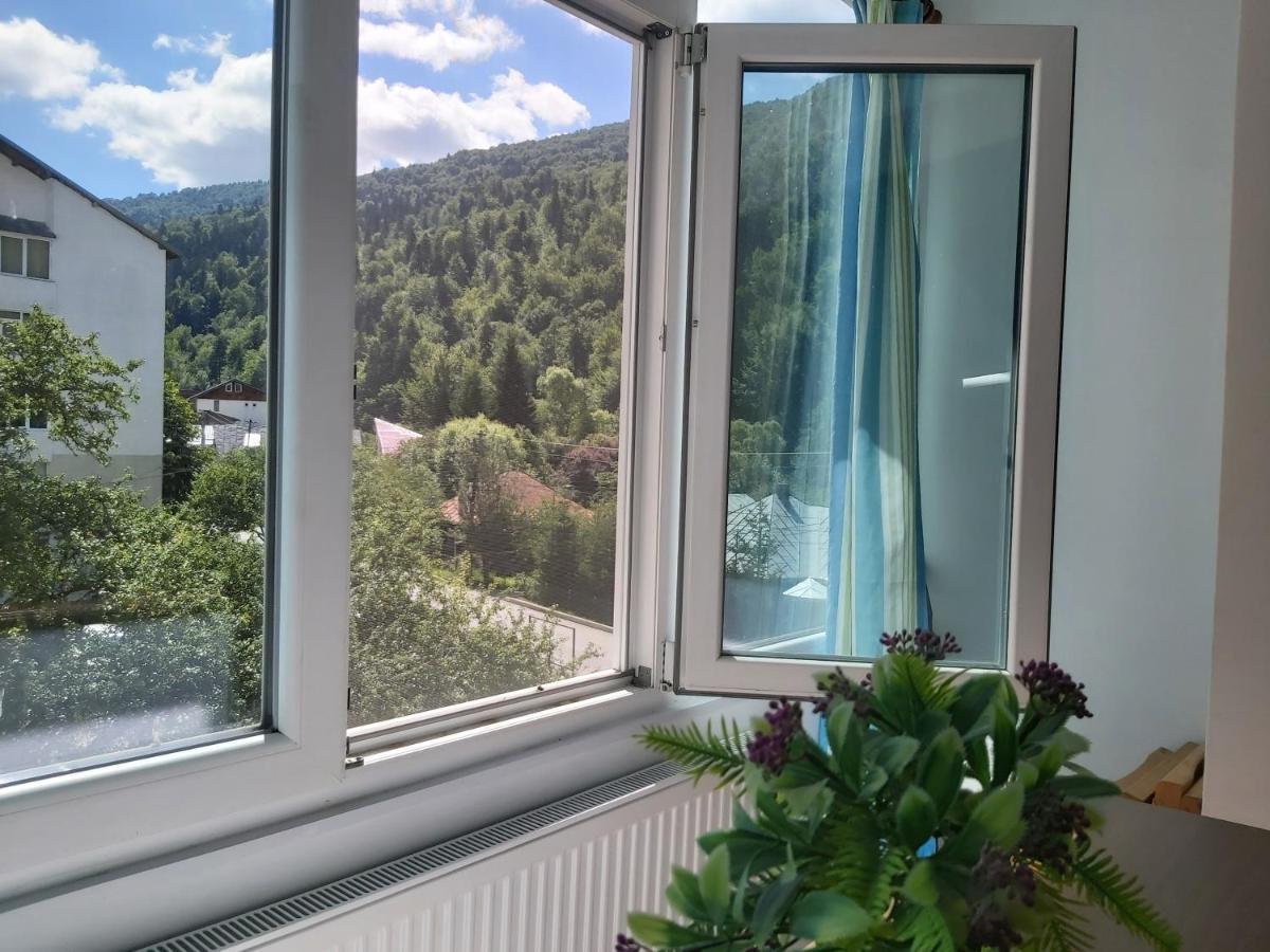 Apartment Valea Azugii 아주가 외부 사진