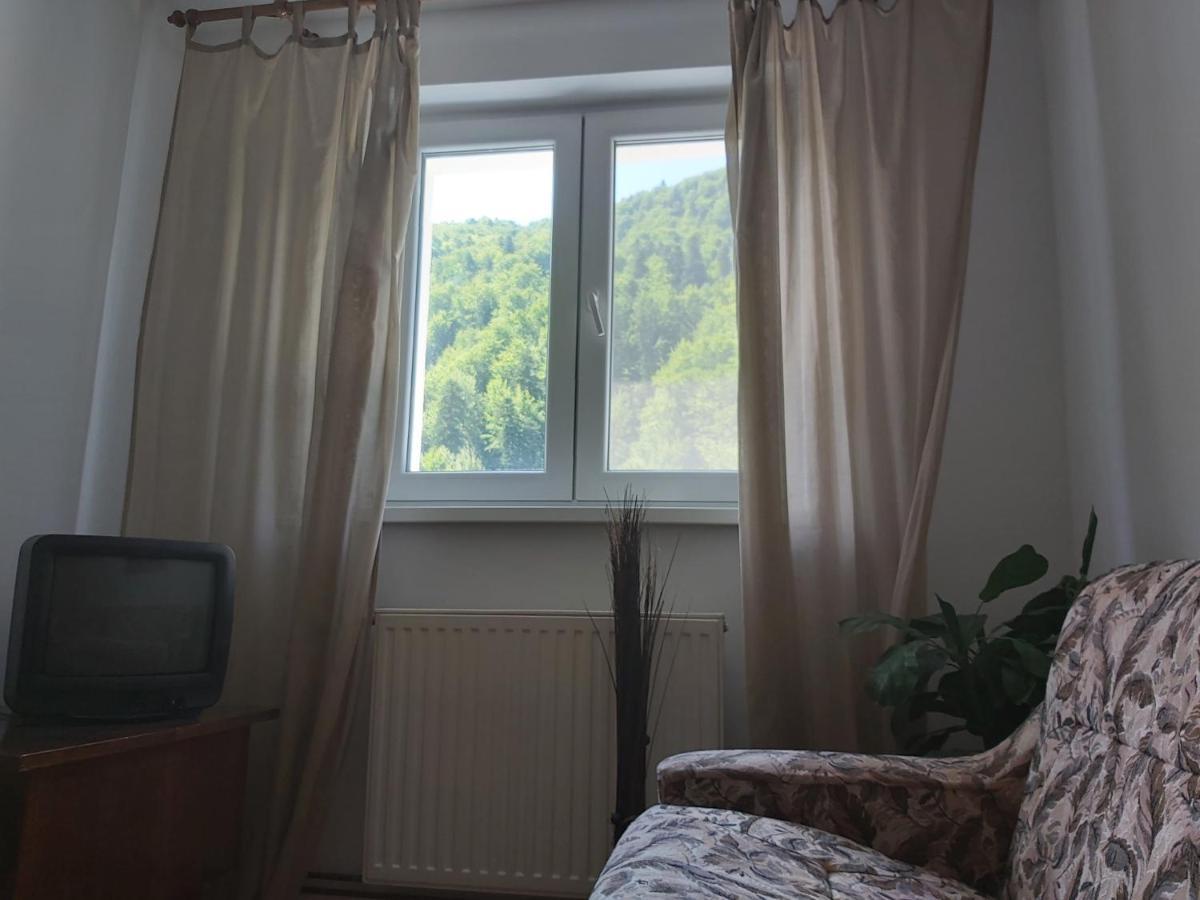 Apartment Valea Azugii 아주가 외부 사진