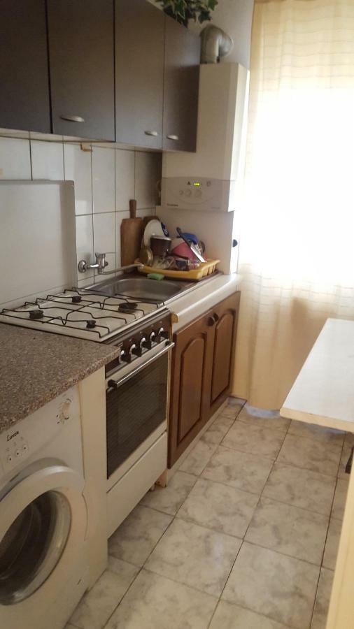Apartment Valea Azugii 아주가 외부 사진